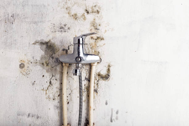 Water Damage Restoration in Decorah, IA