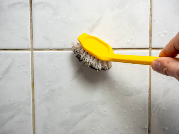 Best Affordable Mold Removal  in Decorah, IA